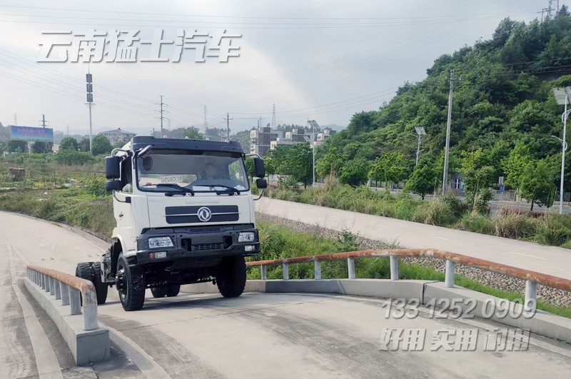 出口菲律賓底盤,出口新加坡車輛,卡車底盤出口,四驅天錦底盤,出口專用車,自卸汽車出口